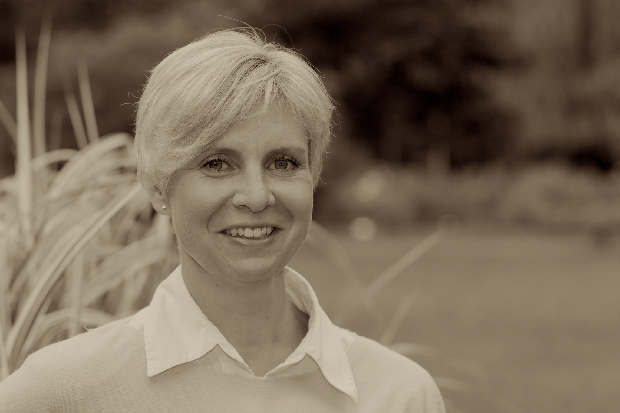 Bild Systemisches Coaching